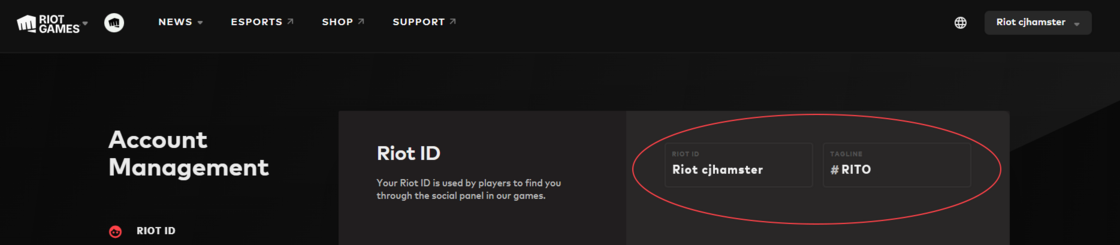 Riot Games RiotID in the Account Settings